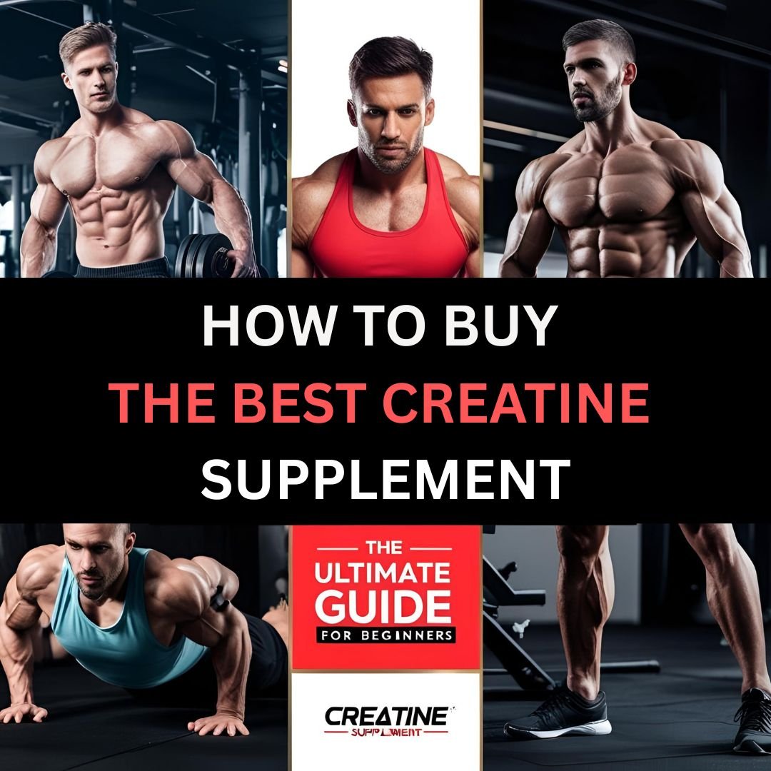 Best Creatine Supplements