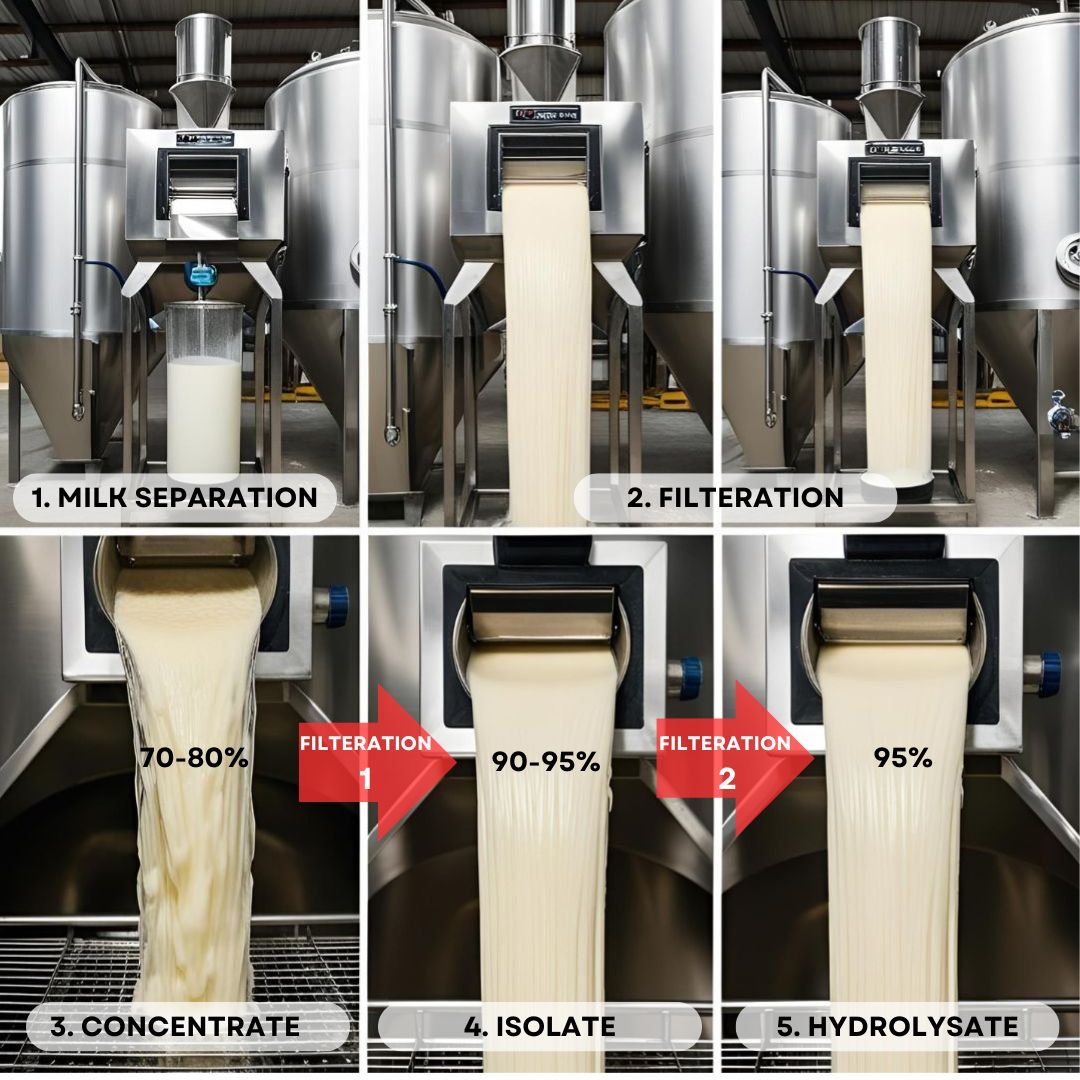 Production Process of Whey Protein Supplements